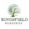 Ringsfield Nurseries