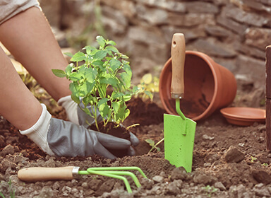 Watering Can 1