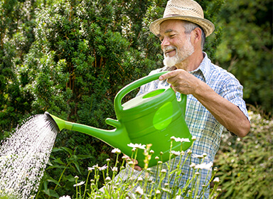 Watering Can 2